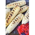 thumbnail image 6 of TomorrowSeeds - Stowell's Evergreen White Sweet Corn Seeds - 360+ Count - For 2026 Planting American, 6 of 11