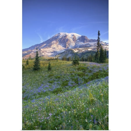 Great BIG Canvas | Rolled Jamie and Judy Wild Poster Print entitled Washington, Mt. Rainier and wildflowers at Mazama
