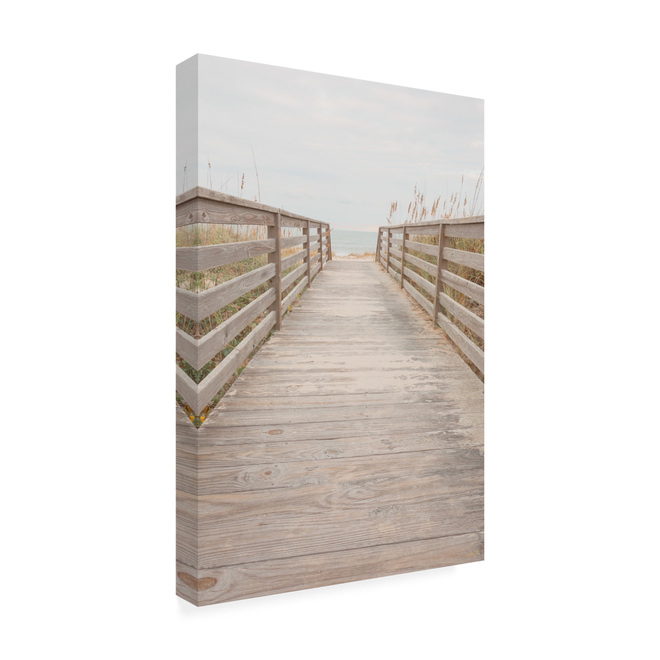 Canvas Wall Art - Life BeautifuLEE 'Walking to Peace' Wall Art for Living Room, Bedroom, or Office Décor by Trademark Fine Art - 16 x 24 Inches