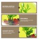 thumbnail image 2 of KAKOWELY Jarrón hidropónico transparente para pecera de pared, macetero decorativo para el hogar., 2 of 5