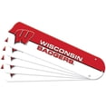 thumbnail image 1 of Ceiling Fan Designers 7990-WIS New NCAA WISCONSIN BADGERS 52 in. Ceiling Fan Blade Set, 1 of 1