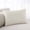 Cream, variant on Turquoise Standard Pillow Covers, Modern Pure Turquoise Soft Breathable Throw Pillow Cases with Invisible Zipper, Decorative Pillowcase Pillows Protectors for Sofa Bed Chair 20"x26"