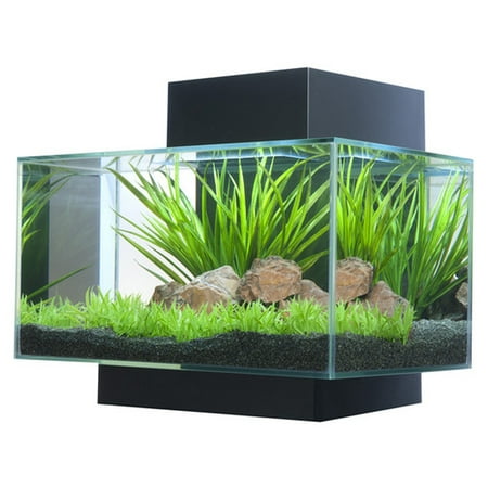 Hagen Aquarium | Hagen 6 Gallon Fluval Edge Aquarium Kit Walmart Com Hagen Aquarium | Hagen 6 Gallon Fluval Edge Aquarium Kit Walmart Com