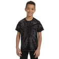 thumbnail image 2 of Colortone Childrens Little Boys Tonal Spider Short Sleeve T-Shirt, 2 of 4