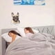 thumbnail image 3 of Three Ratels FTC1082 Stafford Bull Terrier Dog Wall Decals Frenchie Dog Toilet Sticker 3D Dog Car Window Sticker, 3 of 4