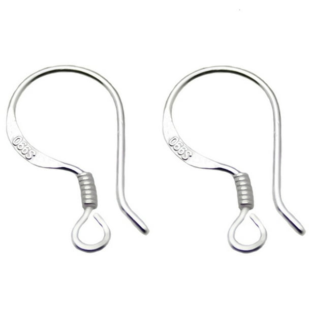 Qarigey 1 par de ganchos para pendientes, joyería, pasador para la oreja, fabricación DIY para el hogar, accesorios para pendientes de joyero, Ropa, zapatos y accesorios Miscelánea Qarigey AP015393-00