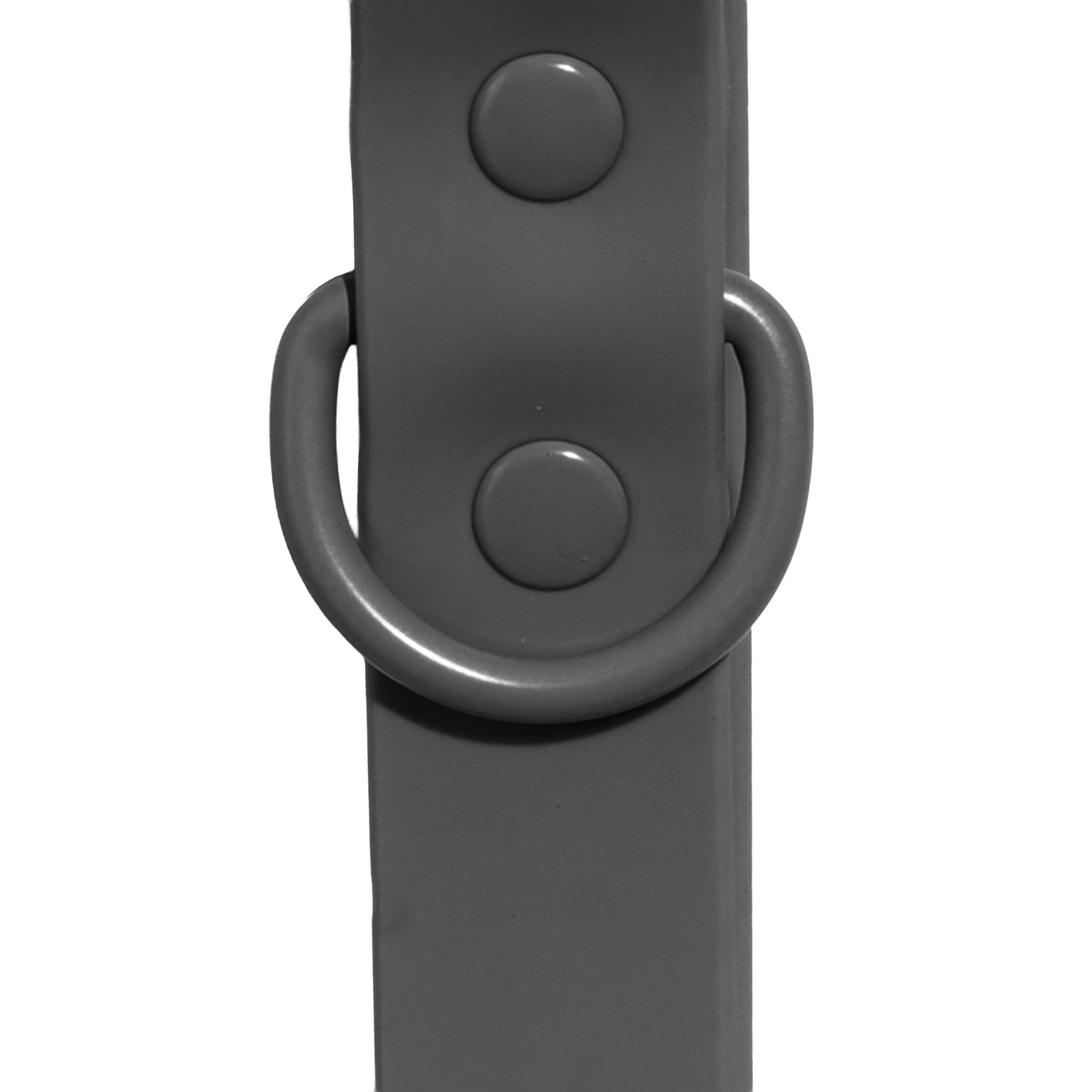 Vibrant Life Water Resistant Adjustable Dog Collar, Gray, M