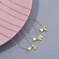 thumbnail image 5 of Collares con inicial delicada para mujer Collar con letra de corazón chapado en oro de 14 quilates Collar con colgante de corazón con inicial personalizada Collar con nombre de letra minúscula Regalo de Navidad para niñas Letra de corazón Z-Oro esquí esquí Gafas de esquí, 5 of 5