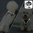 thumbnail image 1 of Soft Mesh Dog Harness And Leash Set For Walking Summer Step In Vest Harness Reflective Bands Adjustable No Pull Pet Supplies For Small Dogs And Cats Puppy Sweaters for Small Dogs Extra Small Belly, 1 of 3