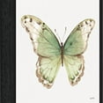 thumbnail image 4 of Amanti Art Colorful Breeze XII Butterfly Framed Canvas Wall Art, 4 of 10