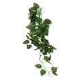 thumbnail image 1 of Crawler Simulation Green Vine, A Variety Of Models To Meet Different Needs Hanging Plant False Vine  For Decoration And Landscaping Of Fish, 1 of 8