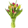 thumbnail image 2 of KaBloom : 5 Red, 5 Yellow, 5 White Tulips, 5 Tulips with Vase, Next-Day Delivery., 2 of 4