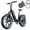Black, variant on TST Electric Bike for Adult, 750W Motor 48V/15AH, UL2849, 20"x4" Fat Tire Mountain E-bike, Hydraulic Disc Brakes, APP Control