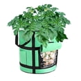 thumbnail image 1 of CreativeArrowy Planter Pot Potato Bag 7/10 Gallon Brown Gardening Supplies Durable Non - Woven Fabric Green Garden Boxes, 1 of 14