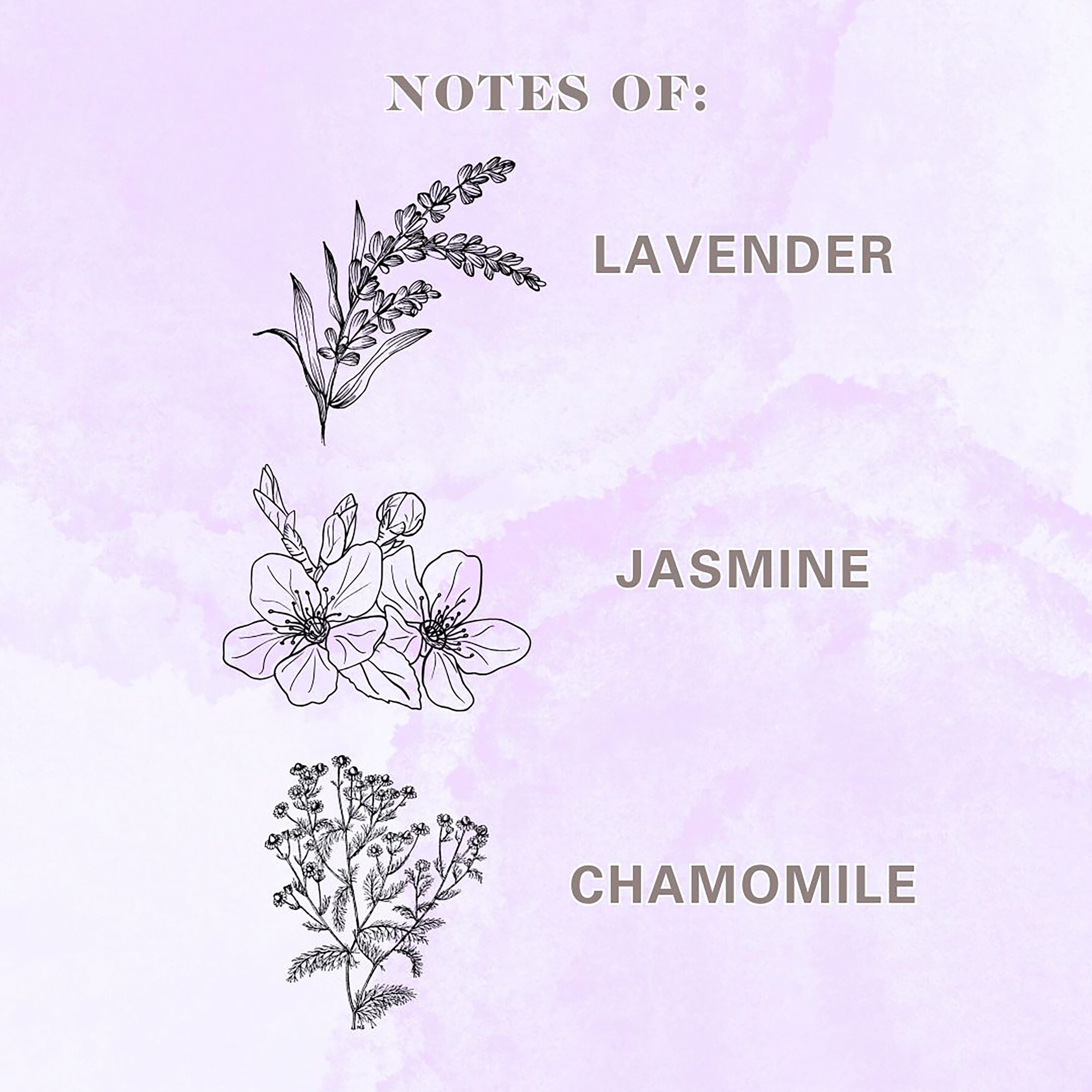 Allswell Relax (Lavender + Jasmine + Chamomile) Scented Reed Diffuser 3 fl oz (90mL) With 8 Synthetic Reeds.