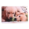 thumbnail image 1 of Plastic Placemat (Dogs Chewing Ball) - Set of 12, 1 of 1