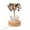 Green, variant on Natural White Quartz Tree Lamp LED Base Feng Shui Decoration for Home Decorative Night Light Unique Desktop Ornament