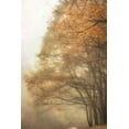 thumbnail image 2 of Poinski, Dianne 23x32 White Modern Wood Framed Museum Art Print Titled - Woods Edge 2, 2 of 4