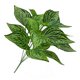 thumbnail image 5 of Inteprter Ramo de hojas de plantas artificiales, simulación de hojas de eneldo verde, ramo de para el hogar y la Oficina, decoración de plantas Plantas Artificiales No.03 Inteprter HA7138-03B, 5 of 6
