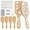 Style 2, variant on 6 Sets DIY Wooden Hairbrush Craft Kit 8.27 Pearl Shell, Square White Hair brush Make Your Own Girls Night Party Supplies for DIY Gift Wedding Birthday Christmas Party Crafts