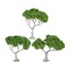 thumbnail image 4 of 3 piezas de árboles en miniatura para mesa de arena, modelos de árboles para decoración de jardín de hadas árbol de hoja ancha, 4 of 9