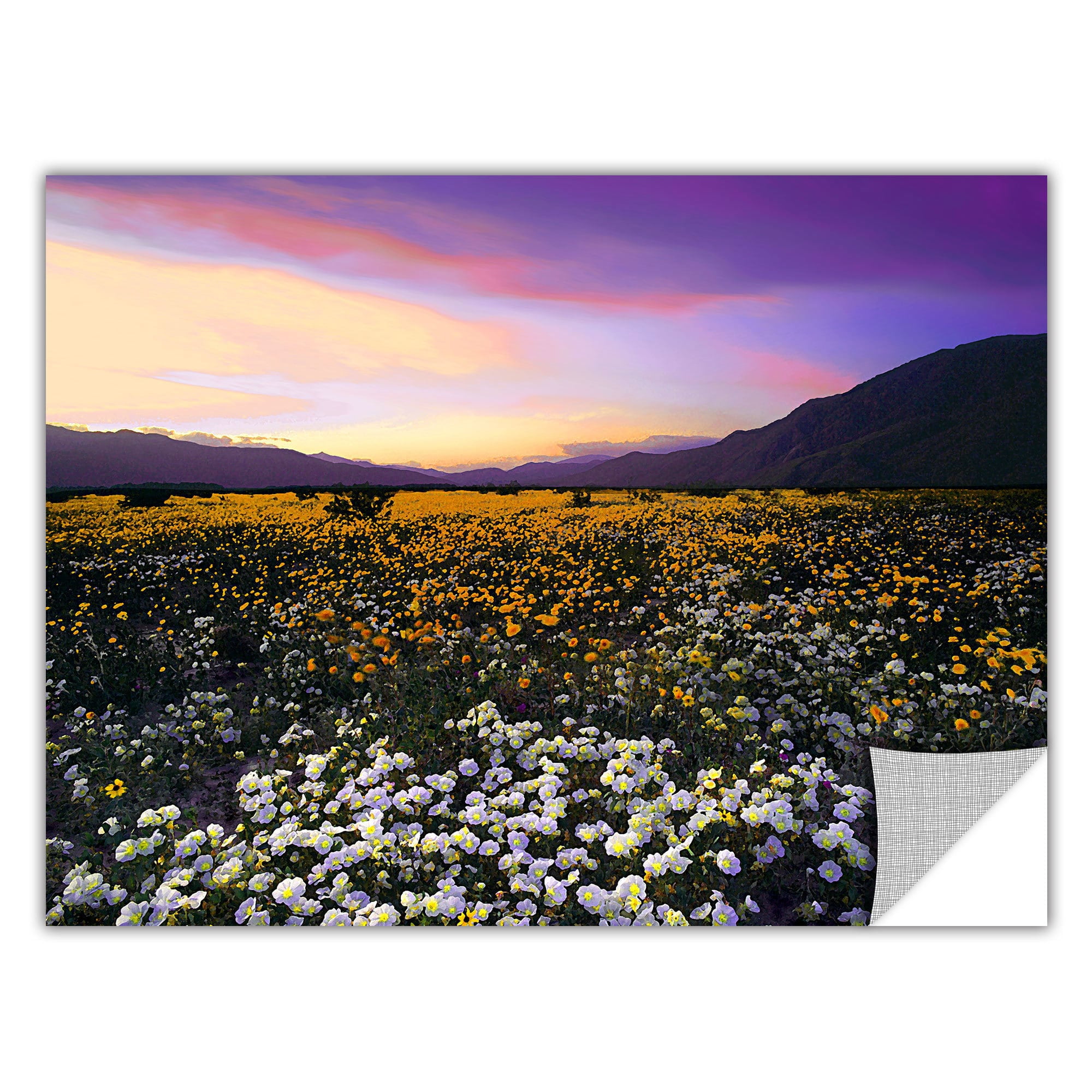 Dean Uhlinger Borrego Desert Spring, Art Appeelz Removable Wall Art Graphic