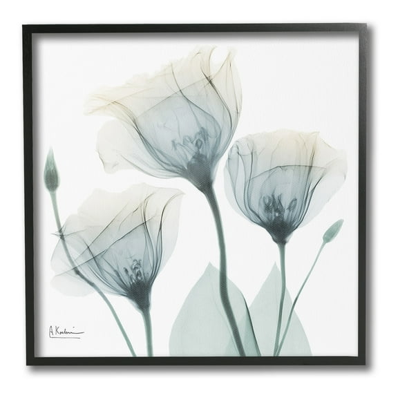 Stupell Industries Soft Opaque Tulips Botanical & Floral Photography Black Framed Art Print Wall Art, 12 x 12