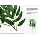 thumbnail image 4 of Ramas de sauce falsas Bewildely 10 piezas verde, 4 of 6