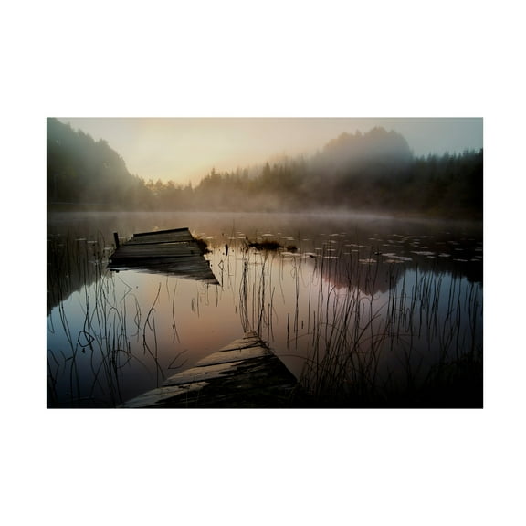 Willy Marthinussen 'In The Misty Morning' Canvas Art