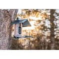 thumbnail image 3 of Bird Feeder FeatherSnap Smart AI ID Solar Wi-Fi, 3 of 9
