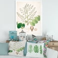 thumbnail image 3 of Designart 'Ancient Botanicals XVI' Farmhouse Framed Art Print, 3 of 4