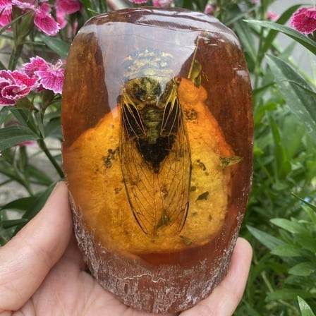Artificial Amber Insect Specimen Decorative Collectible Ornament Raw Stone Style Resin Display for Home Office Gift