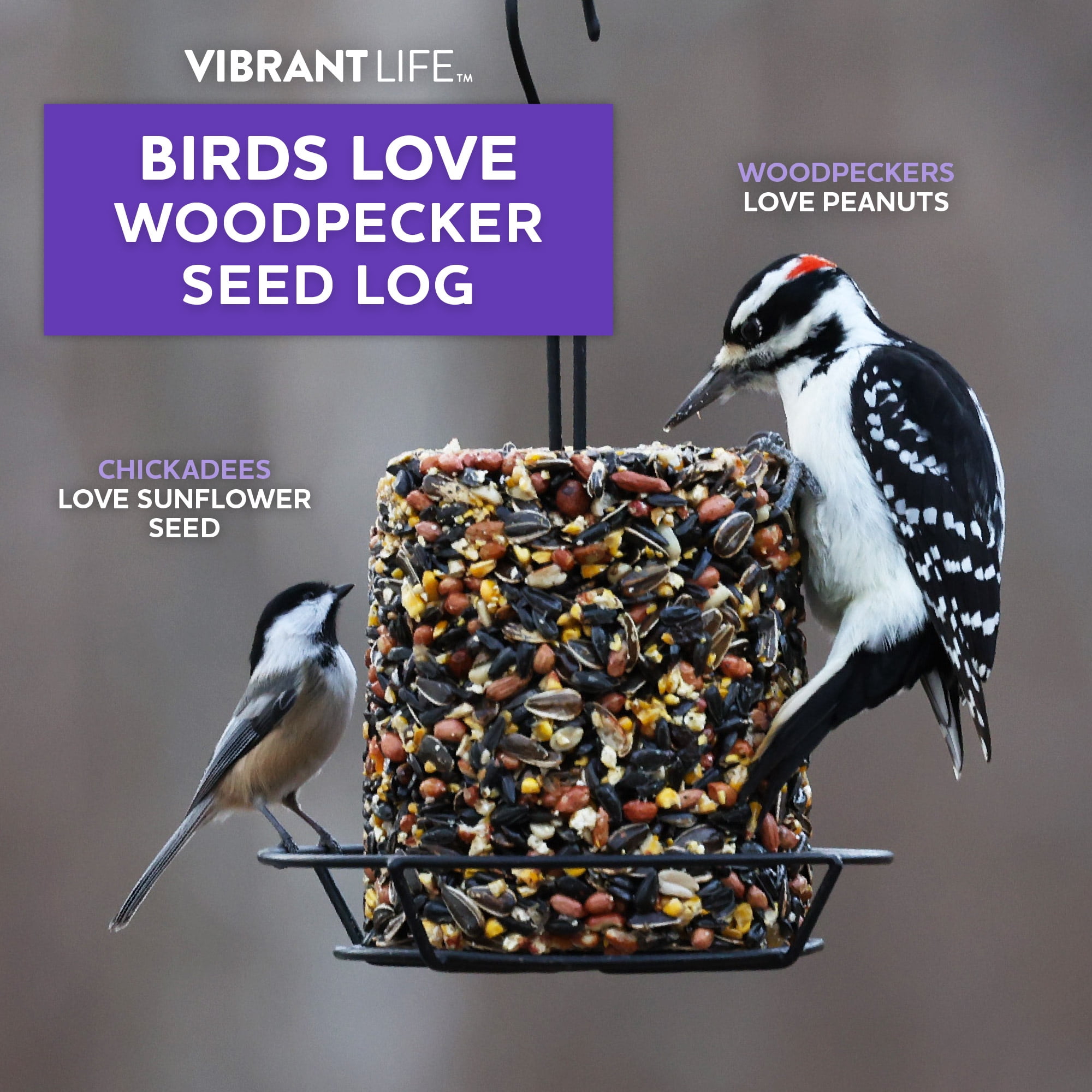 Vibrant Life Woodpecker Wild Bird Seed Log, 32 oz.