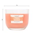 thumbnail image 4 of Freshens Papaya Mandarin Scented Jar Candle, 2 Wick, 14 oz, 40 Hours Burn, Pack of 2, Fruity, 4 of 7