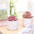 thumbnail image 3 of 2 Macetas De Cerámica Blanca Plantas Artificiales Suculentas, Mini Plantas Suculentas Artificiales, Plantas Falsas Para Decoración De Estantes, Baño, Dormitorio, Decoración De Oficina, D, 3 of 5