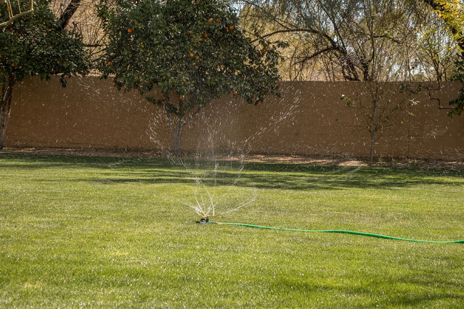 Orbit Brass, 3-Arm, Adjustable Lawn Watering Sprinkler with Wheeled Base