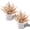 Gold-small, variant on 2 Pack Small Fake Plants Eucalyptus Potted Artificial Plants for Shelf Desk Home Bathroom Farmhouse Room Coffee Table Decor (Sage Green)