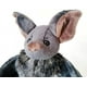 thumbnail image 3 of Peluche Enivtfz de 12 murciélagos grandes para Halloween, 3 of 6