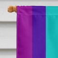 thumbnail image 3 of Carolines Treasures Gay Pride before 1978 Flag Canvas House Size Large multicolor, 3 of 4