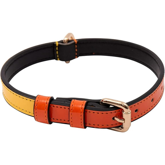 Scotch&Co Leather Pet Collars – Leather Pet Neckband with Elegant Waxed Cotton Stitched Edges | Adjustable Brass Buckle | Suitable for Small & Medium Breed Dogs | Orange Yellow | Small (9"-12")