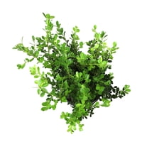 Altman Plants 2.25 Gal Buxus Japonica Shrub Live Plant