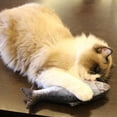 thumbnail image 3 of 5 Piezas de Juguetes para Peces Catnip Gatos 20 Cm Almohada, 3 of 5