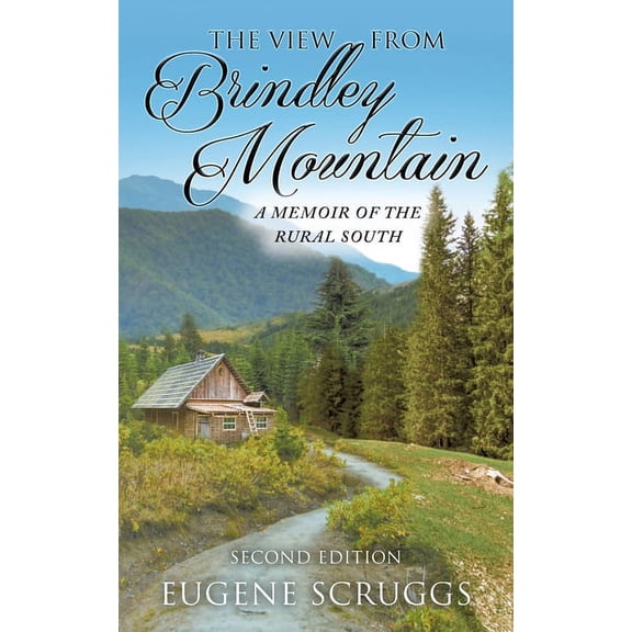 The View from Brindley Mountain (Paperback)