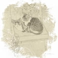 thumbnail image 2 of Melious, Amy 12x12 Gold Ornate Wood Framed with Double Matting Museum Art Print Titled - Feline Illustration II, 2 of 4