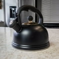 Typhoon Otto Collection 2.5L Stove Top Kettle