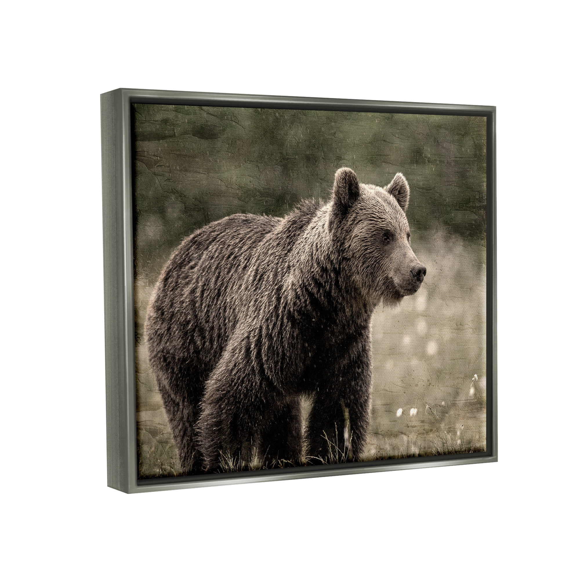Stupell Industries Brown Bear Wildlife Animals & Insects Painting Gray Floater Framed Canvas Art Print Wall Art, 31 x 25