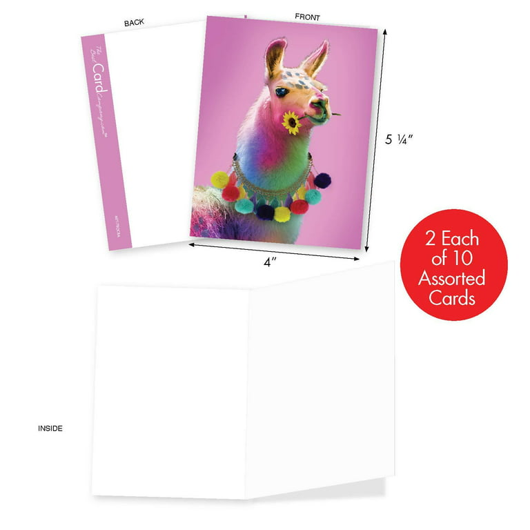 The Best Card Company Funky Rainbow Wildlife - 20 Watercolor Blank Note Cards with Envelopes (4 x 5.12 inch) - Boxed All Occasion Animal Cards - Cute