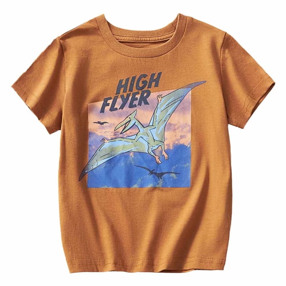 Zhuashum Boys Clothes 5-6 Years Toddler Girls Dinosaur Hipster Cool Printed Short Sleeve Crew Neck T Shirt Top T Shirt Clothes Kids Cute Playsuit Brown