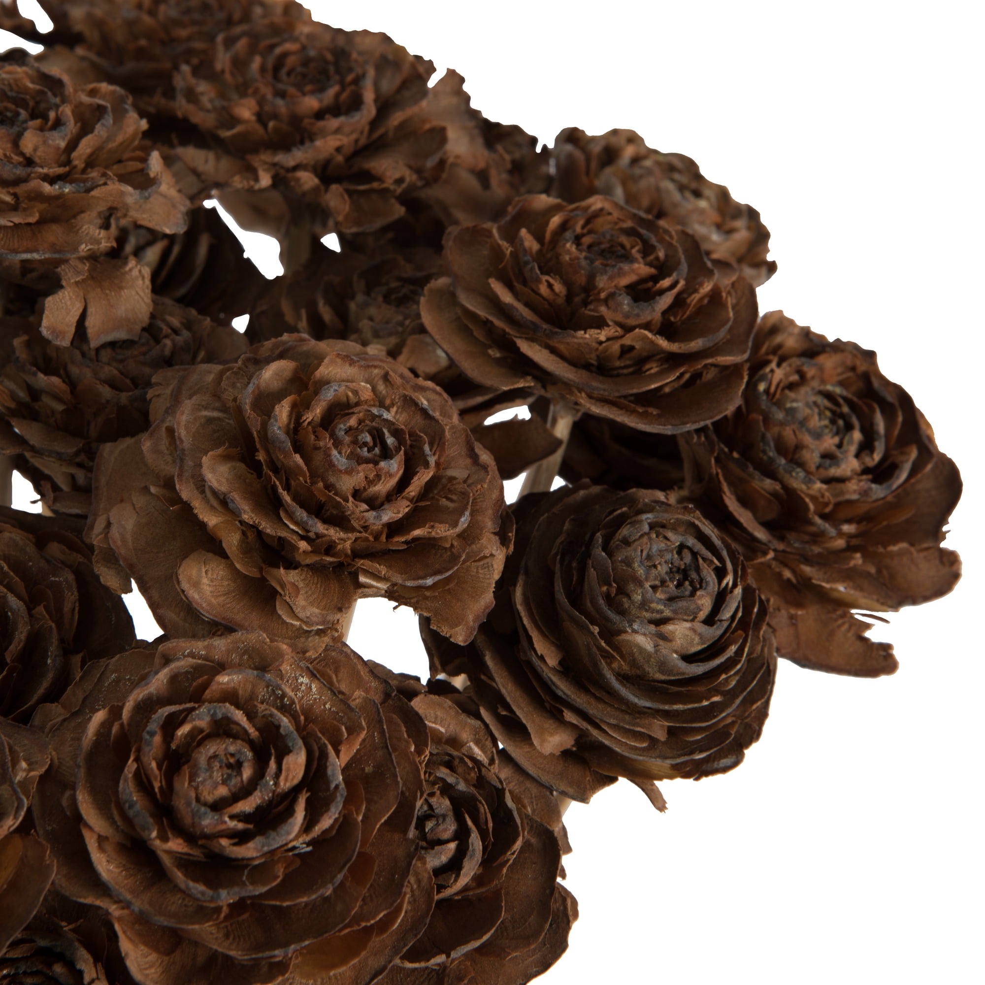 Vickerman Natural Botanicals 1.3"-1.75" Cedar Rose, Natural on Stem. Includes 50 pieces per polybag.