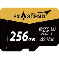 256GB UHS-I MSD Catalyst Memory Card